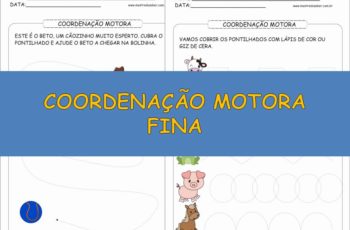 Atividades de Coordenação Motora Fina