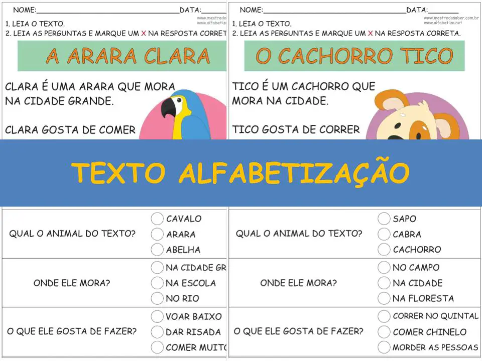 capa texto alfabetizacao