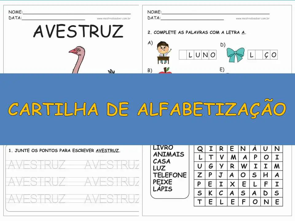 Apostila de alfabetização para o 2º ano do fundamental - Ensino Fundamental  - Aluno On