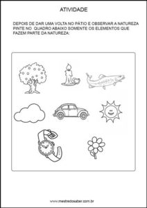 Projeto meio ambiente Educação infantil - Pinte os elementos da natureza