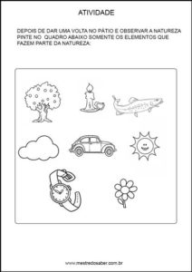 Projeto meio ambiente Educação infantil - Pinte os elementos da natureza